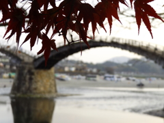 紅葉と錦帯橋