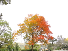 綺麗なグラデーション