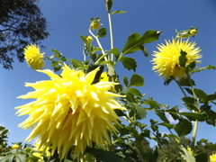 皆と一緒にいて、つらくないかい？