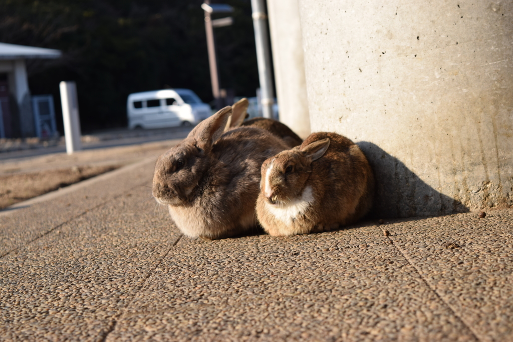 親子？カップル？