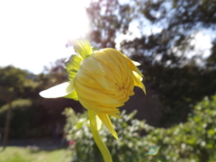 ぎゅーと悩みを抱えてる君は、僕みたいだ。