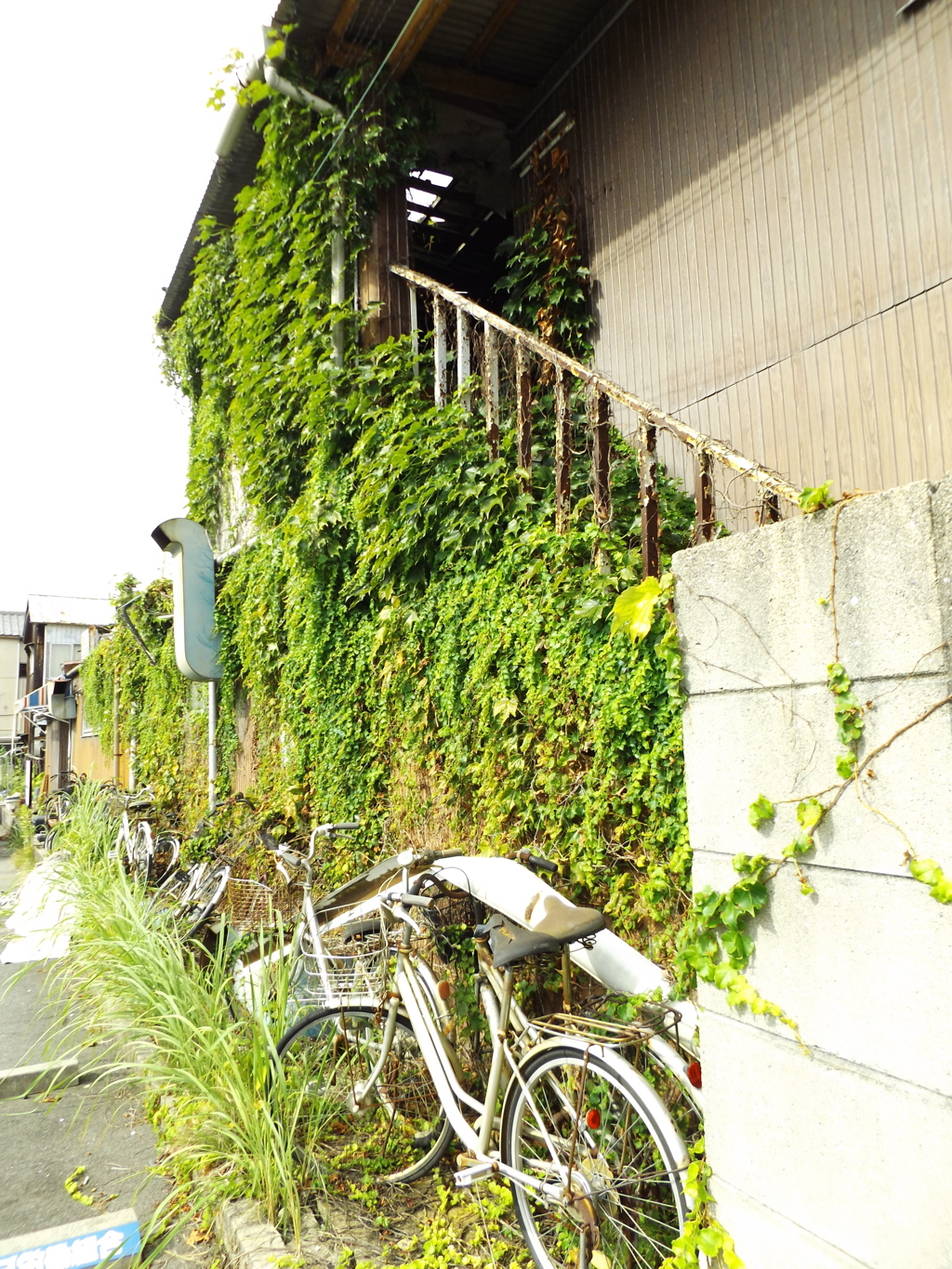 全てを飲み込む勢いで成長する。