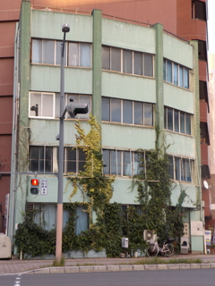 この曲面が素敵