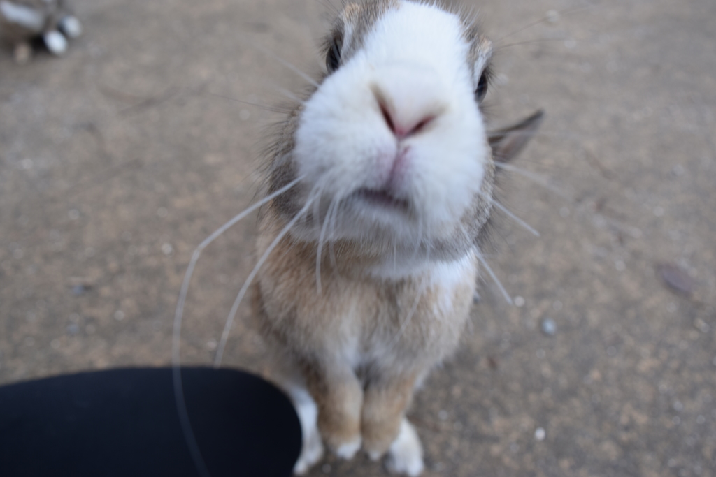 ち、近すぎるんですがｗ