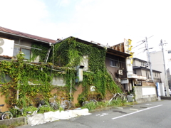 夏こそが廃墟の魅力を引き出してくれる季節