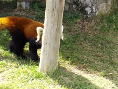 ある意味ベストショット！？