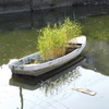 なぜ？生えたんだ？