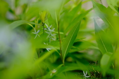 小
