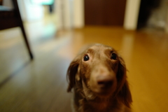 寄