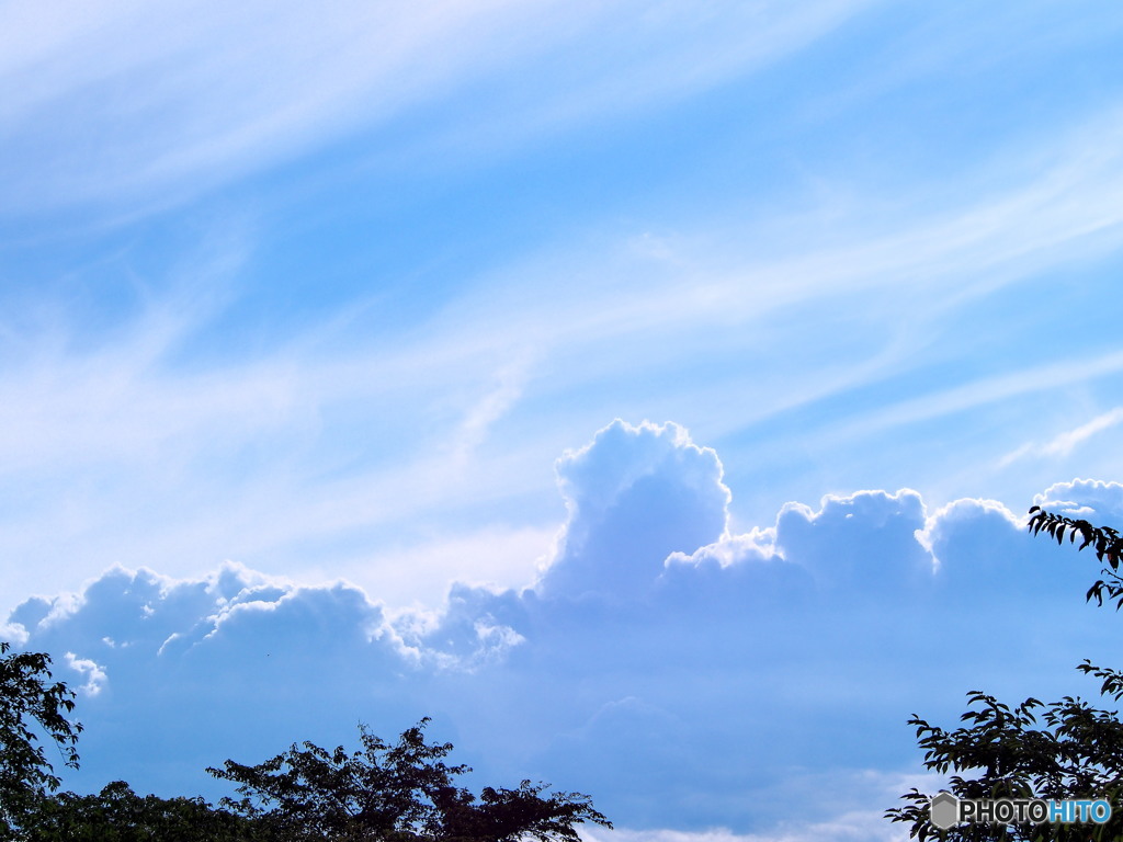 成長する入道雲