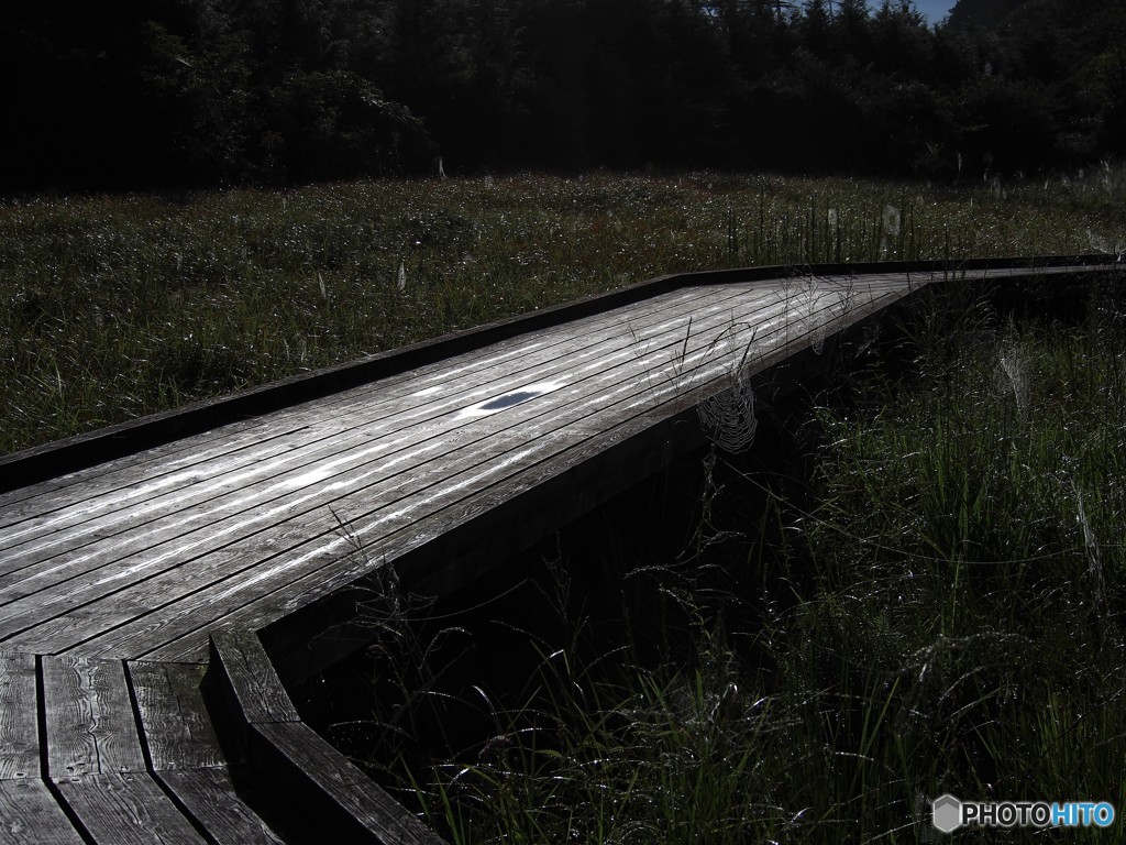 濡れた遊歩道