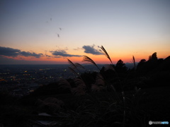 ススキと夕暮れ