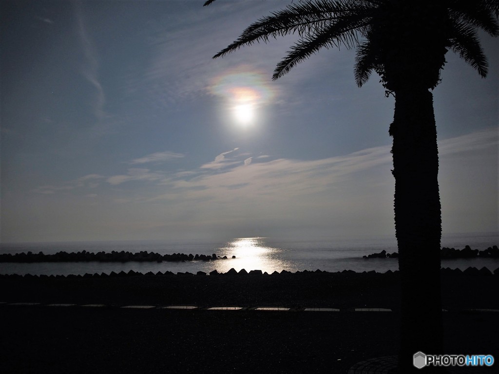 中秋の名月プラス１