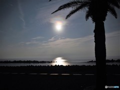 中秋の名月プラス１