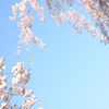 空と桜