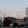 朝日