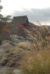 秋の風景