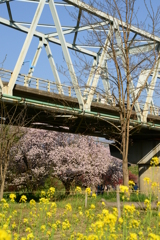 陸橋