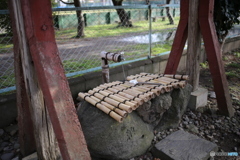 神社の風景