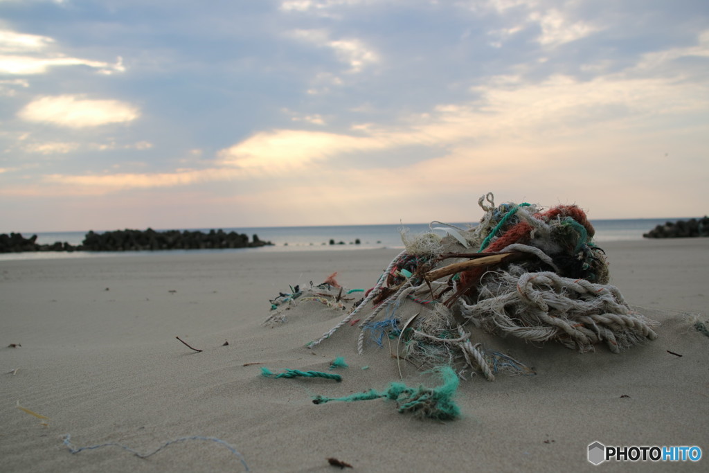 浜辺