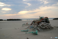 浜辺