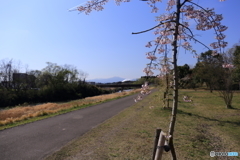 公園