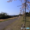 公園