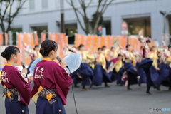 よさこい祭り