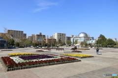 公園