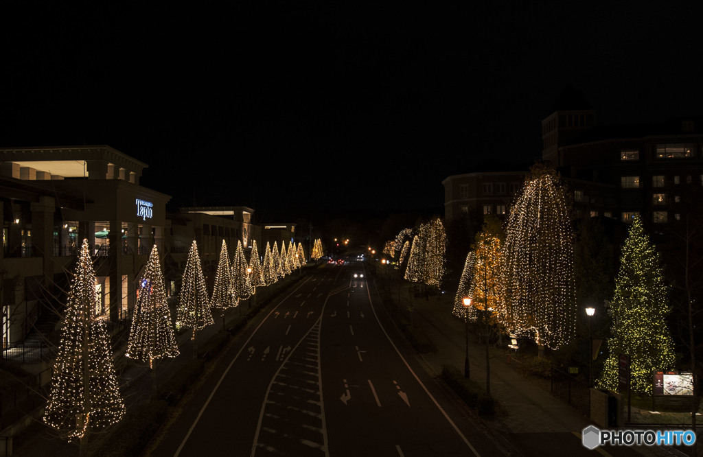 With the fragments of the moon