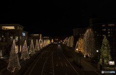 With the fragments of the moon