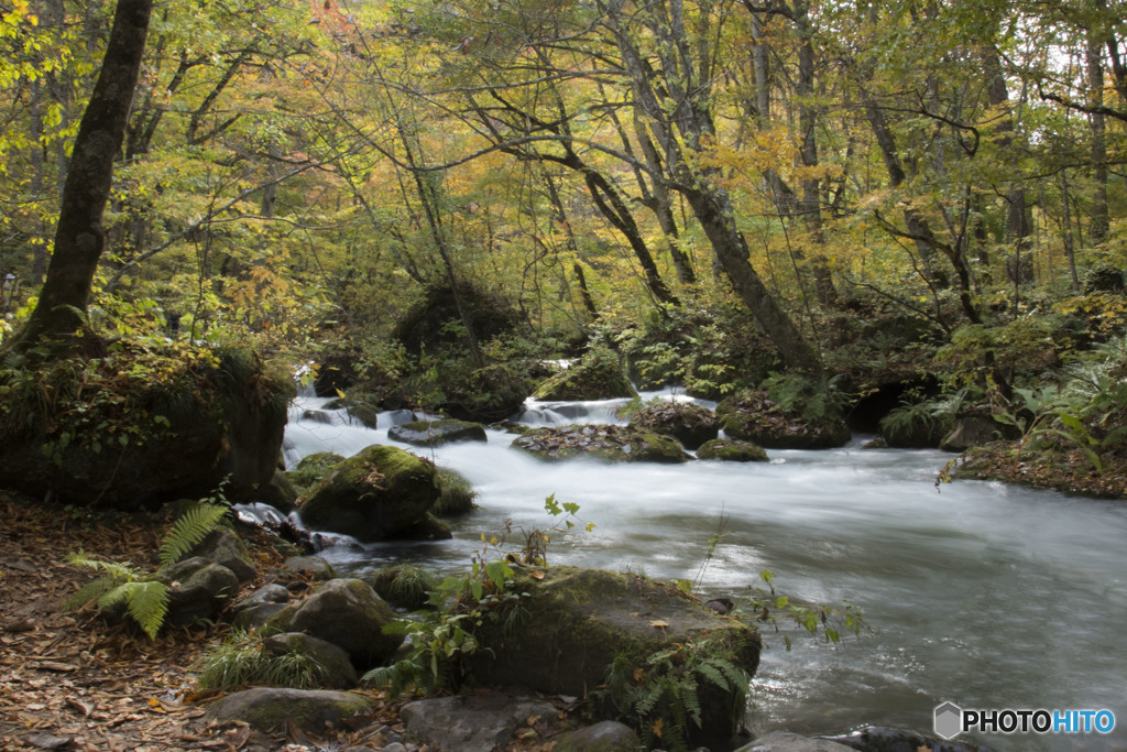 燃える紅葉過ぎれば冷たい冬が来る