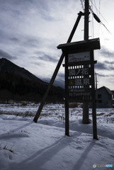 今も忘れない夢の分かれ道。