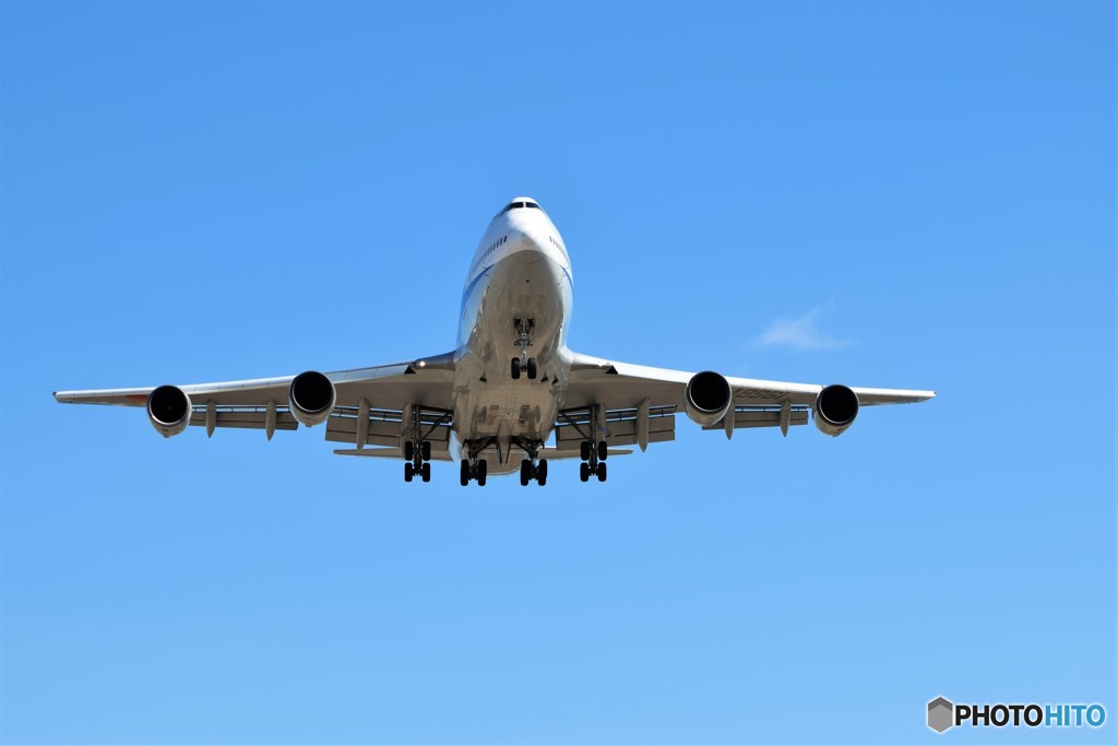 これどうですか？