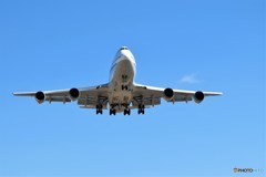 これどうですか？