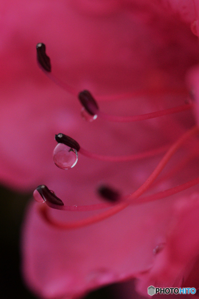 Water drop planning