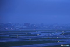 ライトが目立ち始めた