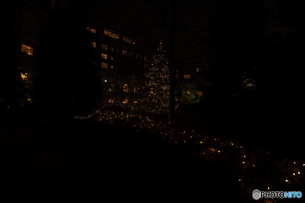 To the eternal world