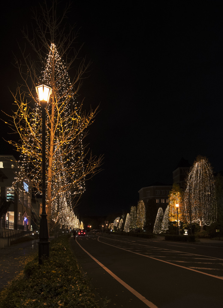 2016 SENDAI 光のページェント in 泉パークタウン