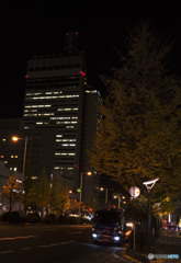 I sincerely apologize