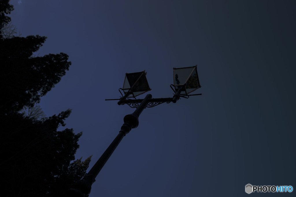 灯る前に見つめてる