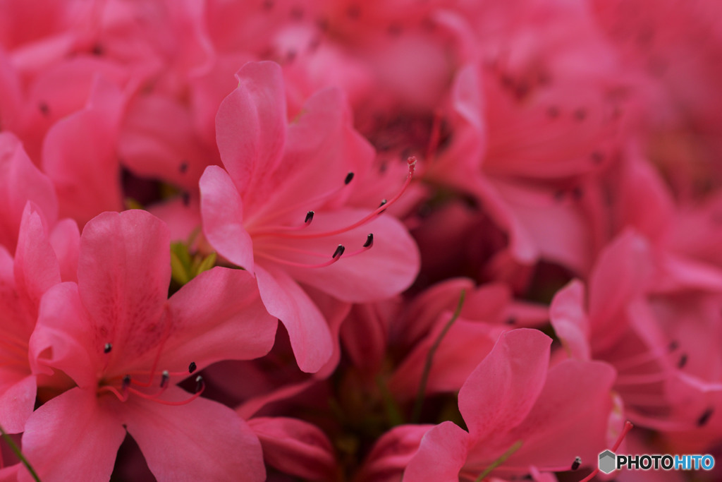 また逢えたら良いね