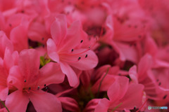 また逢えたら良いね