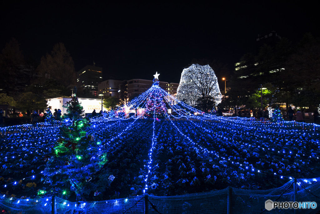 I wish you a merry Christmas!