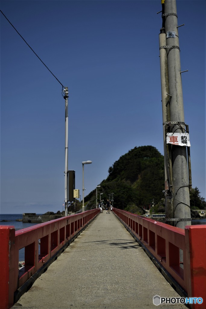 去年の夏の頃