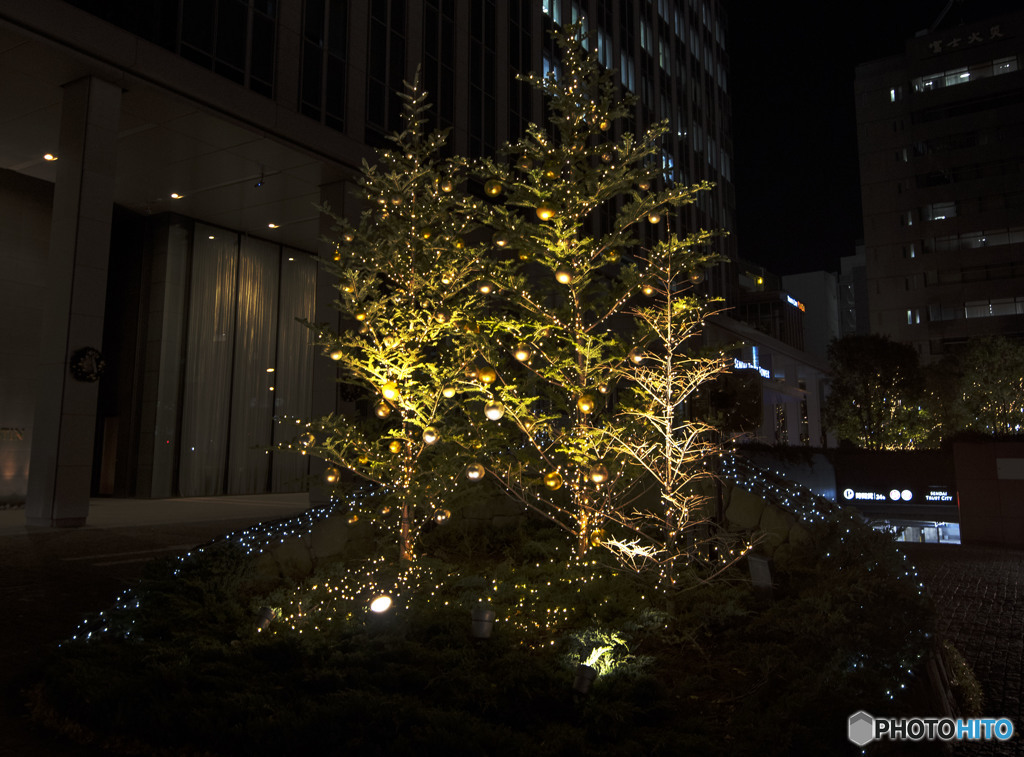 見上げる夜空は悲しみ溢れて　はかない命の涙できらめく