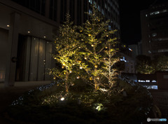 見上げる夜空は悲しみ溢れて　はかない命の涙できらめく