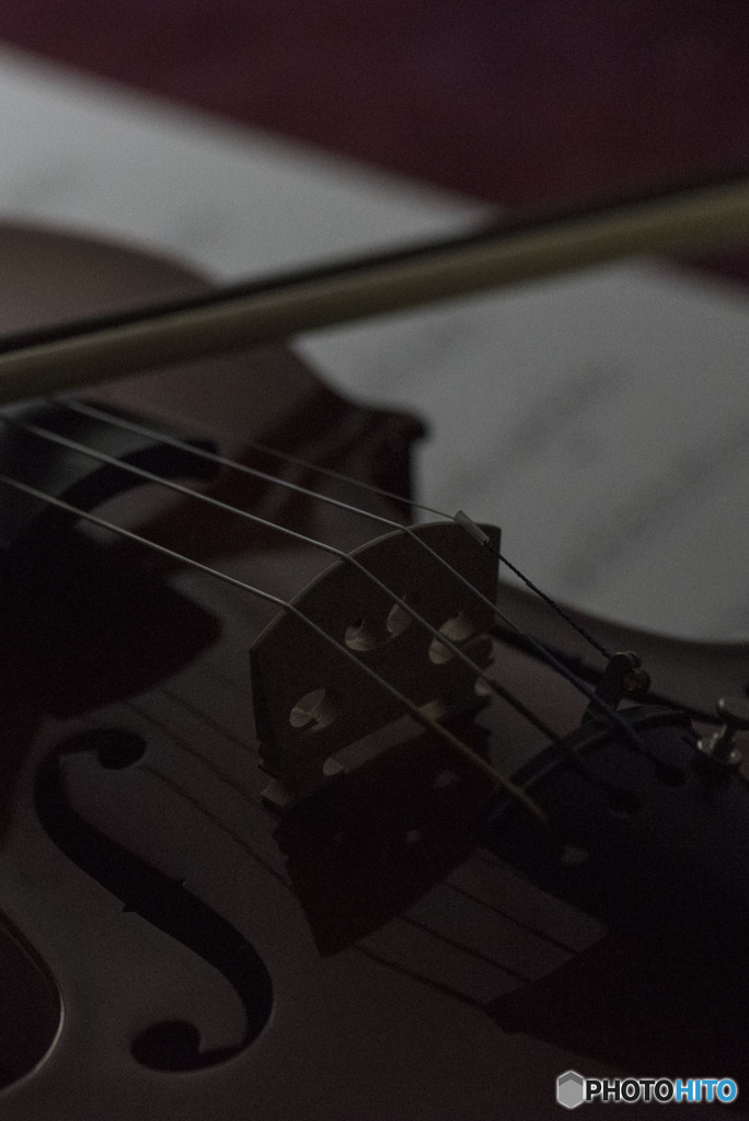 君はもう居ない。