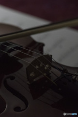 君はもう居ない。