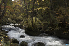 日暮れまで土手にすわりレンゲを編んだ